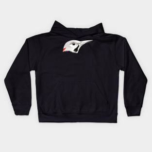 Northern Flicker (Colaptes auratus) - black Kids Hoodie